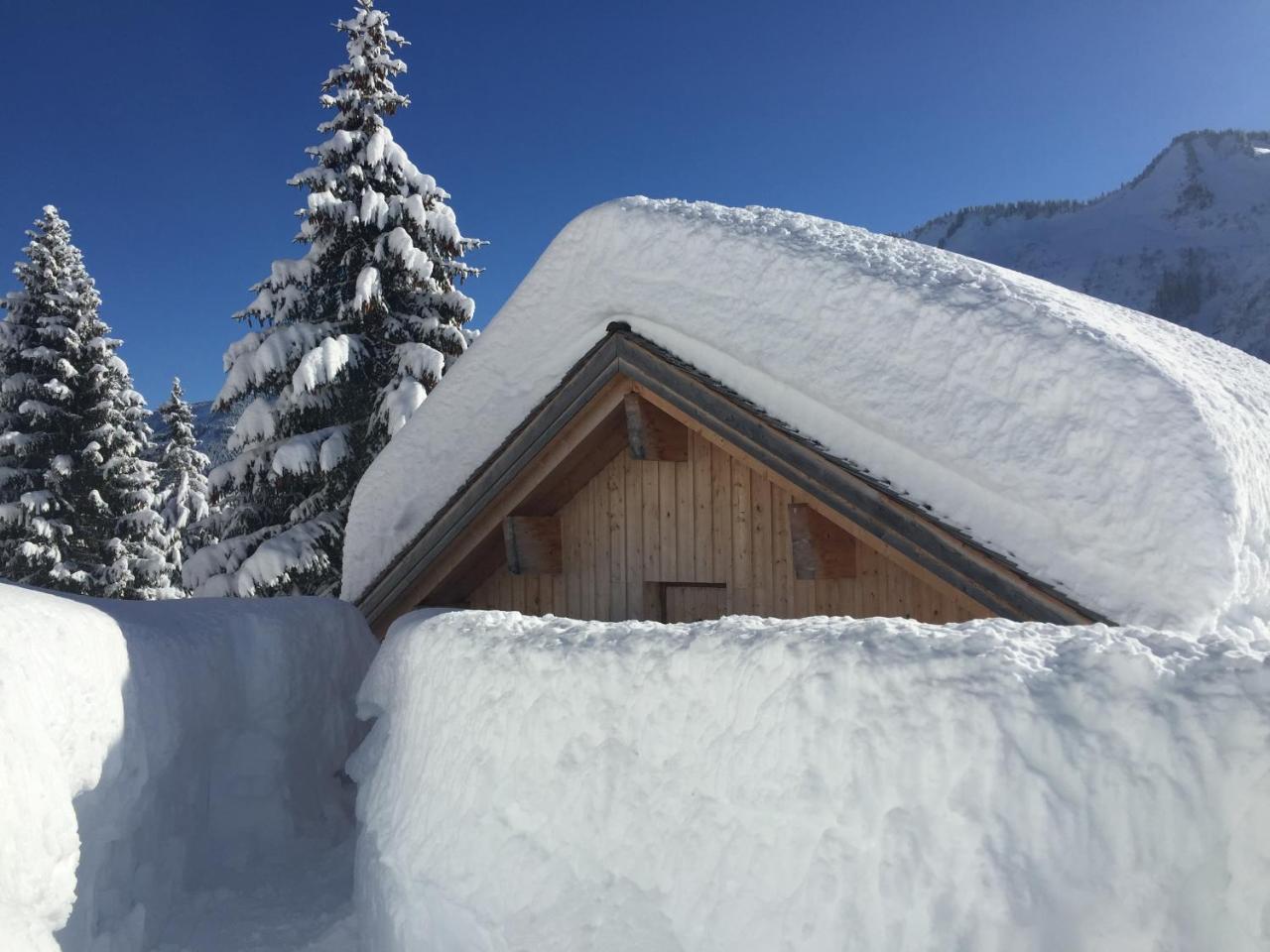 Feriendorf Walserland 다뮐스 외부 사진